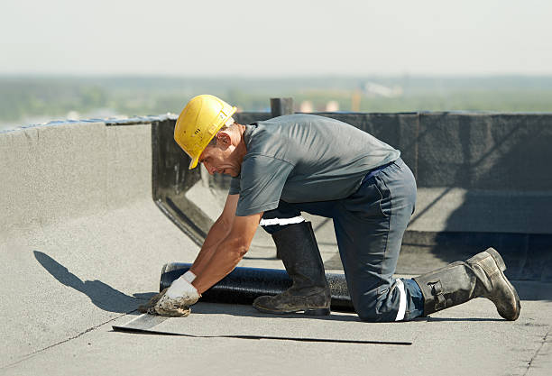 Best Cellulose Insulation in Palermo, NJ