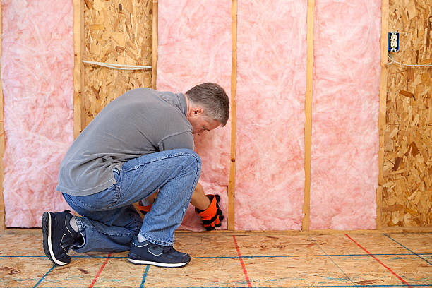 Best Specialized Insulation Services in Palermo, NJ